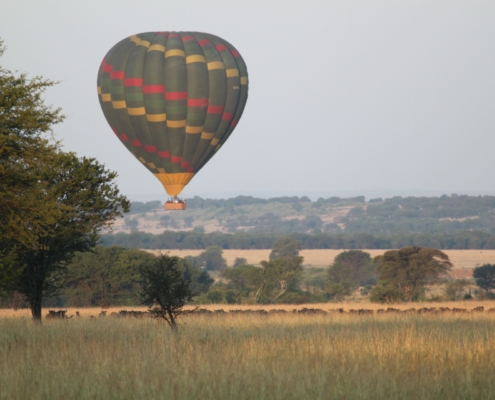 Africa-3507747_1920